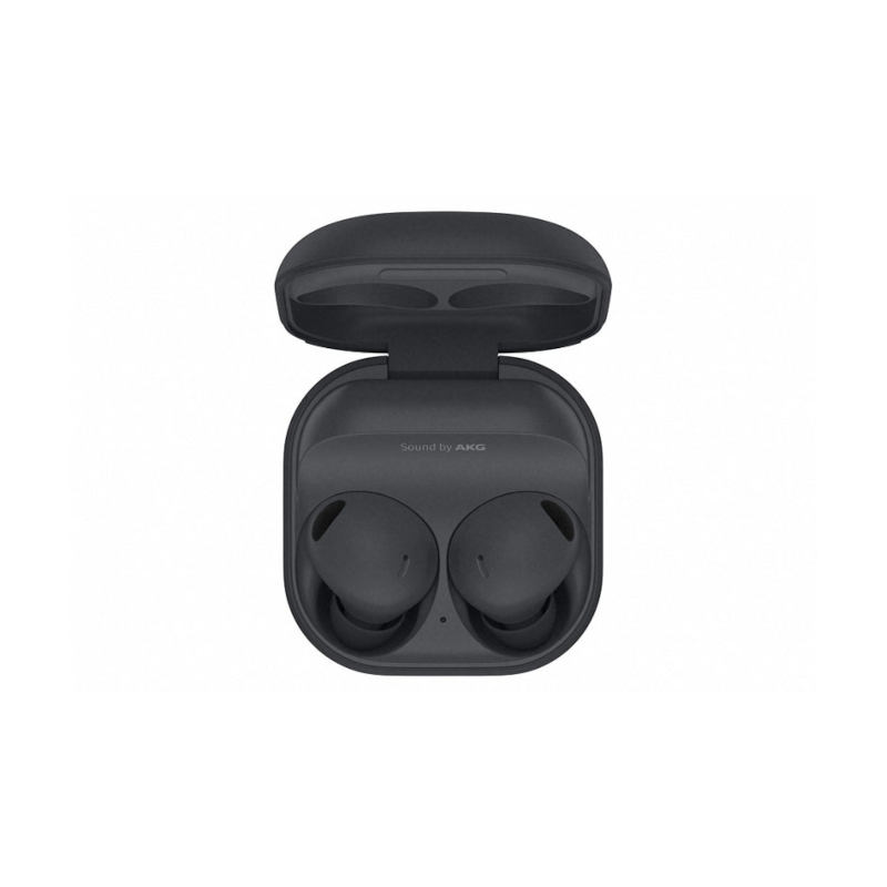 Samsung Galaxy Buds2 Pro Grigio Europa R510